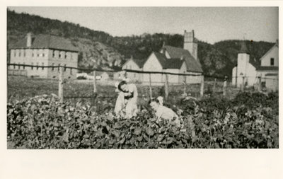 A garden in Schreiber