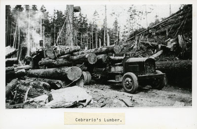 Cebrario's Lumber