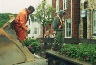 Flowers for Town Beautification Project