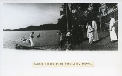 Summer Resort on Walker's Lake