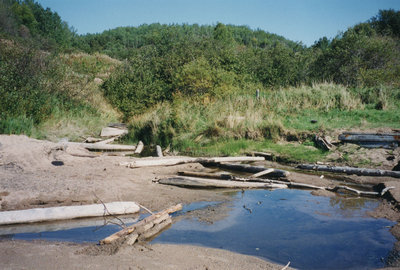 Beach at Coldwell