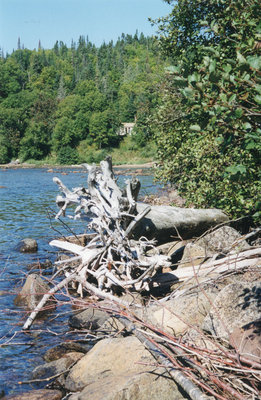 Camp in the background