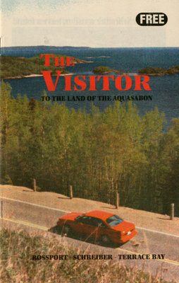 The Visitor