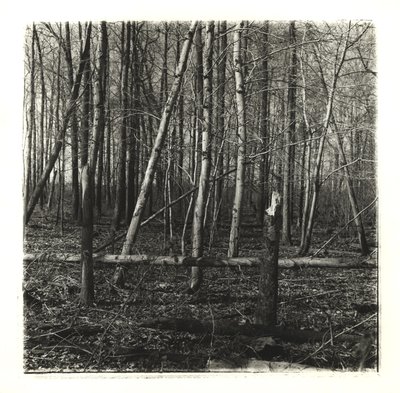 Black and White Photo of Woods at Six Nations of the Grand River