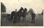 Horses of Samuel Adam Anderson at the Fair