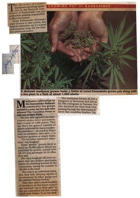 &quot;Growing Pot At Kanesatake&quot;