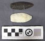 Late Paleo-Indian Projectile Points