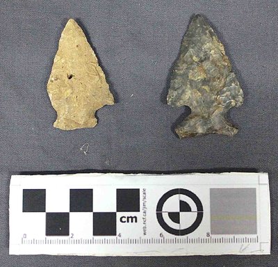 Late Archaic Projectile Points