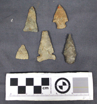 Late Woodland Projectile Points