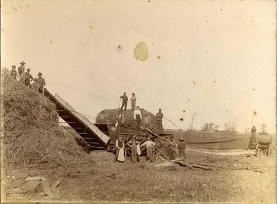 Threshing in Priceville