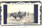 Farming Near Kindersley, Saskatchewan