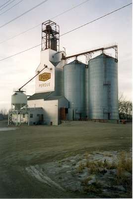 An Elevator In Perdue Saskatchewan