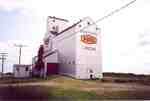 An Elevator In Lanigan Saskatchewan