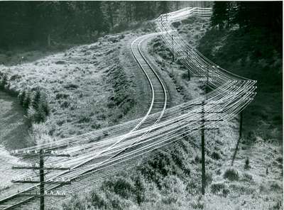 Railway track through a forest, n.d.  Not Swift Current.