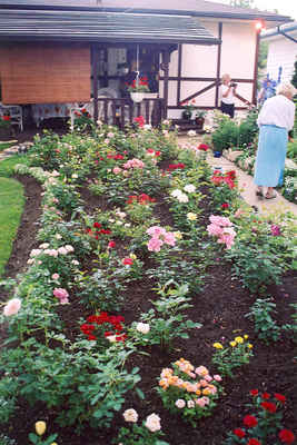 Horticulture Swift Current Saskatchewan  Gunter & Helma Weiner