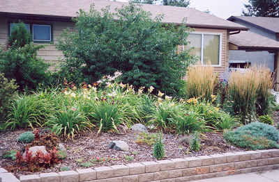 Swift Current Contemporary Yard