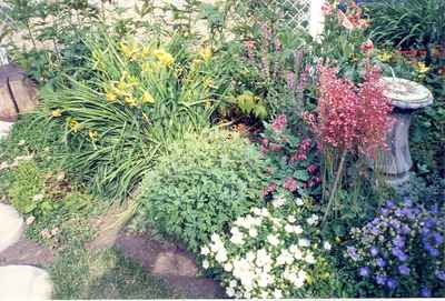 Swift Current Horticulture - Doris King - White Clips, Daylily and Bell Flower