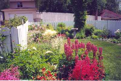 Swift Current Horticulture - Doris King - Coral Bells; Rose Lupins