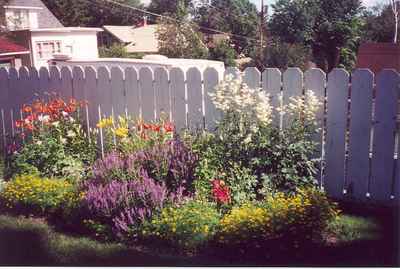 Swift Current Horticulture - Doris King - Meadowsweet