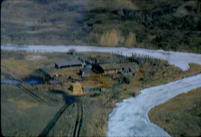 Cattle Feedlot