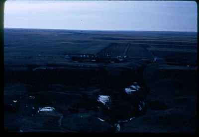 Cattle Feedlot