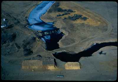 Cattle Feedlot