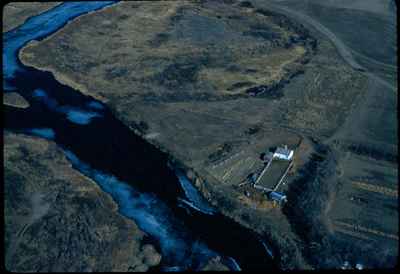 Feedlot on Banks