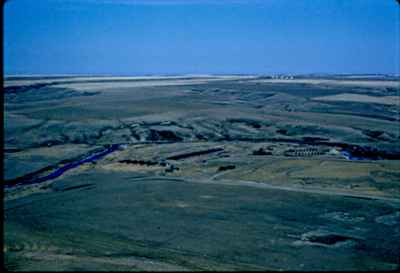 Feedlot on Banks