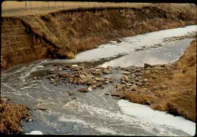 Creek Foaming - Just Downstream From Outlet