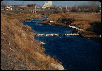 Low Water Level in Creek in Webster Heights