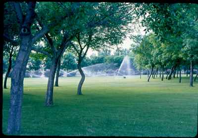 Lawn Watering Riverside Park