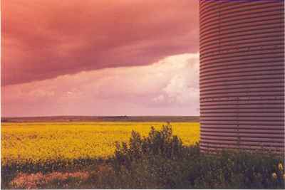 Vanguard Skyline before the Storm