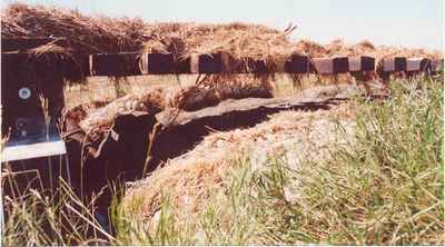 Railroad tracks near Vanguard after flood