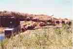 Railroad tracks near Vanguard after the flood