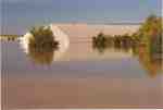 Vanguard Skating and Curling Rinks After the Flood