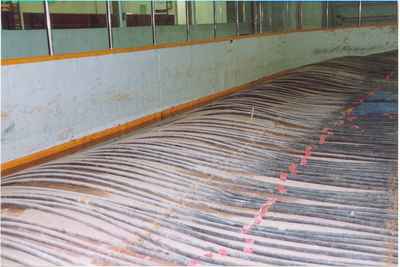 Inside Vanguard Skating Rink After the Flood