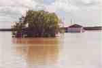 Area Near Vanguard After the Flood