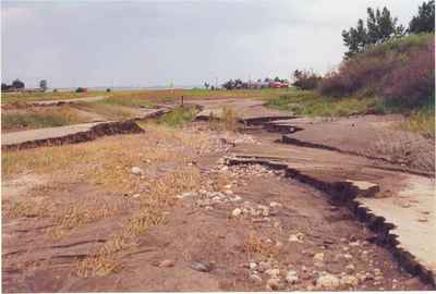 North of Vanguard Across Highway 43 After the Flood