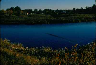 Swift Current Creek from 7th Ave SE & McIntosh St