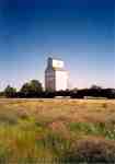 A Grain Elevator in Tompkins, Saskatchewan.