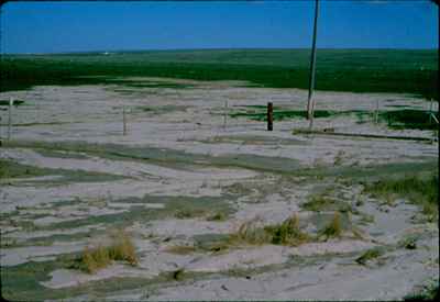 Silt Deposit Due to Spring Runoff from Trojan Property