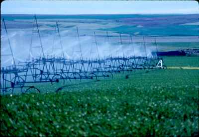 Earl McMurtry Spray Irrigation