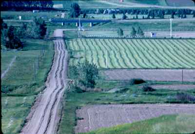 Ralph Case - Alfalfa Crop