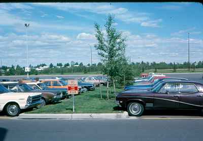 Landscaping Parking Lot - Calgary