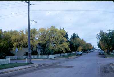 Autumn Leaves - 2nd NE & Herbert St. E