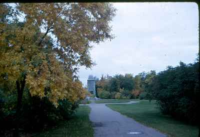 Colour of Leaves - Memorial Park