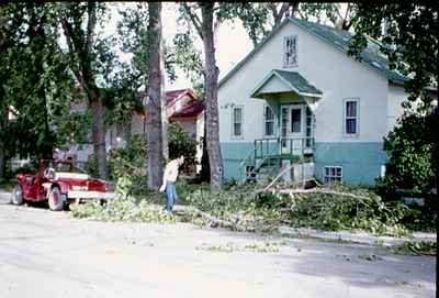 Storm Damage - Trees Down