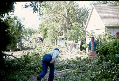 Storm Damage - Tree Cleanup