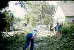 Storm Damage - Tree Cleanup