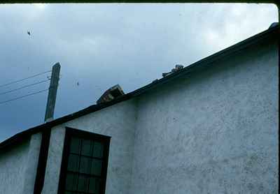 Storm Damage - Chimney Down